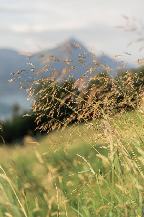 Mountain Peace In The Heart Of Switzerland Emmetten